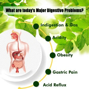 Digestion Problems solution in Ayurveda