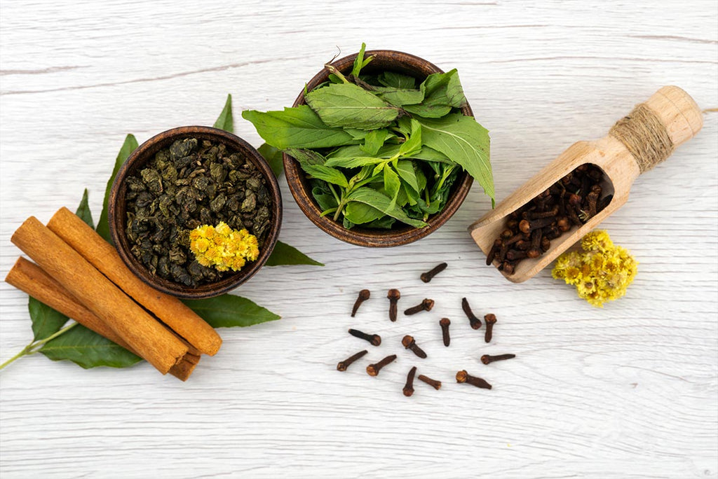 Ayurvedic Herbs that can Improve Energy and Stamina