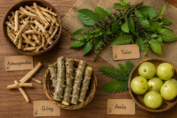Ayurvedic Herbs for Immunity: 7 Herbs to Support a Strong Immune System