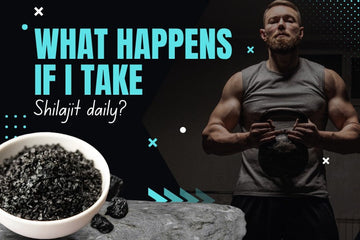What Happens When You Take Shilajit Daily?