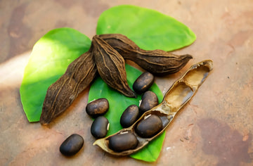 Kaunch Beej - What Are the Benefits for Male Health?