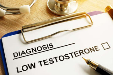 Ayurvedic Support for Healthy Testosterone Levels